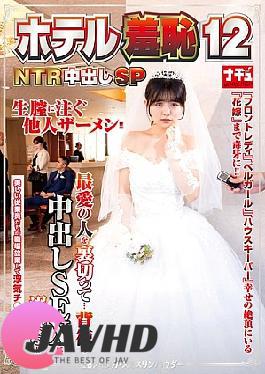 Mosaic NHDTB-950 Hotel Molester 12 NTR Creampie Special